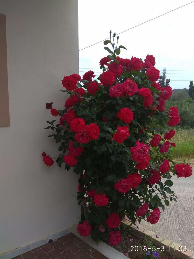 Romeo&juliet 2*